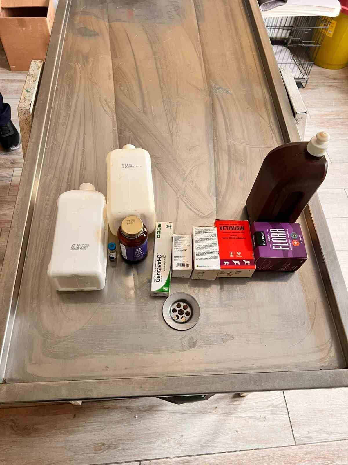 AÇLIKTAN BİRBİRİNİ YİYEN KÖPEKLERİN BAKILDIĞI BARINAKTA ÇOĞU İLACIN TARİHİ GEÇİT...