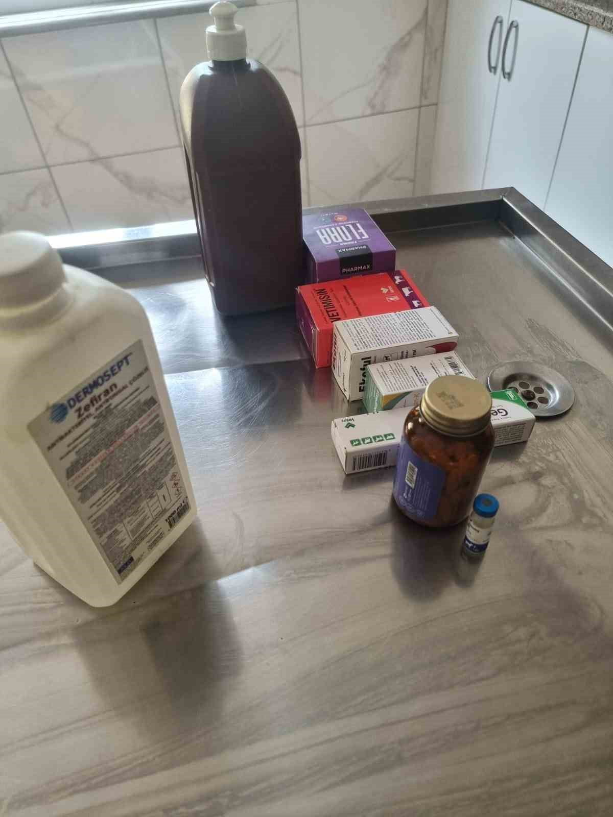 AÇLIKTAN BİRBİRİNİ YİYEN KÖPEKLERİN BAKILDIĞI BARINAKTA ÇOĞU İLACIN TARİHİ GEÇİT...