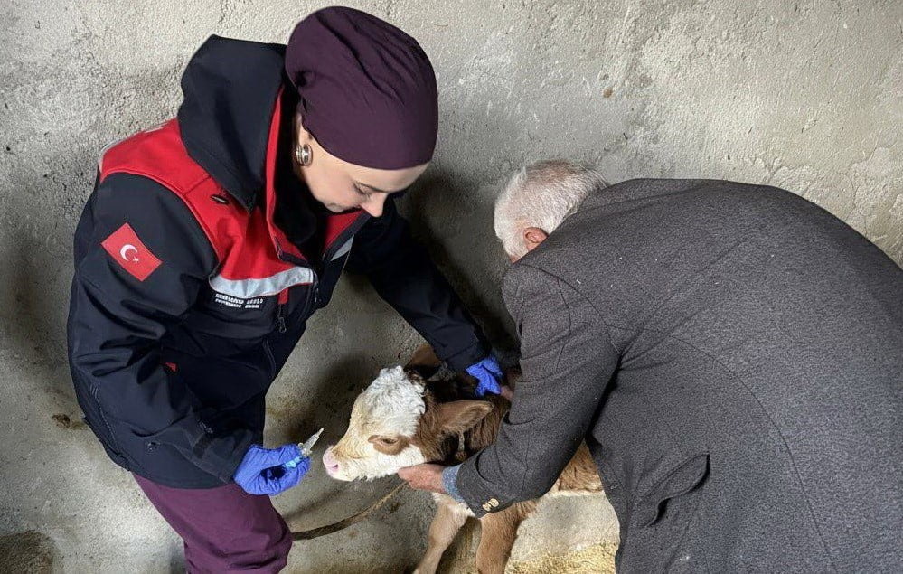 ADIYAMAN’DA, HAYVANLARDAN İNSANLARA BULAŞABİLEN ZOONOZ HASTALIKLARLA MÜCADELE KAPSAMINDA AŞILAMA...