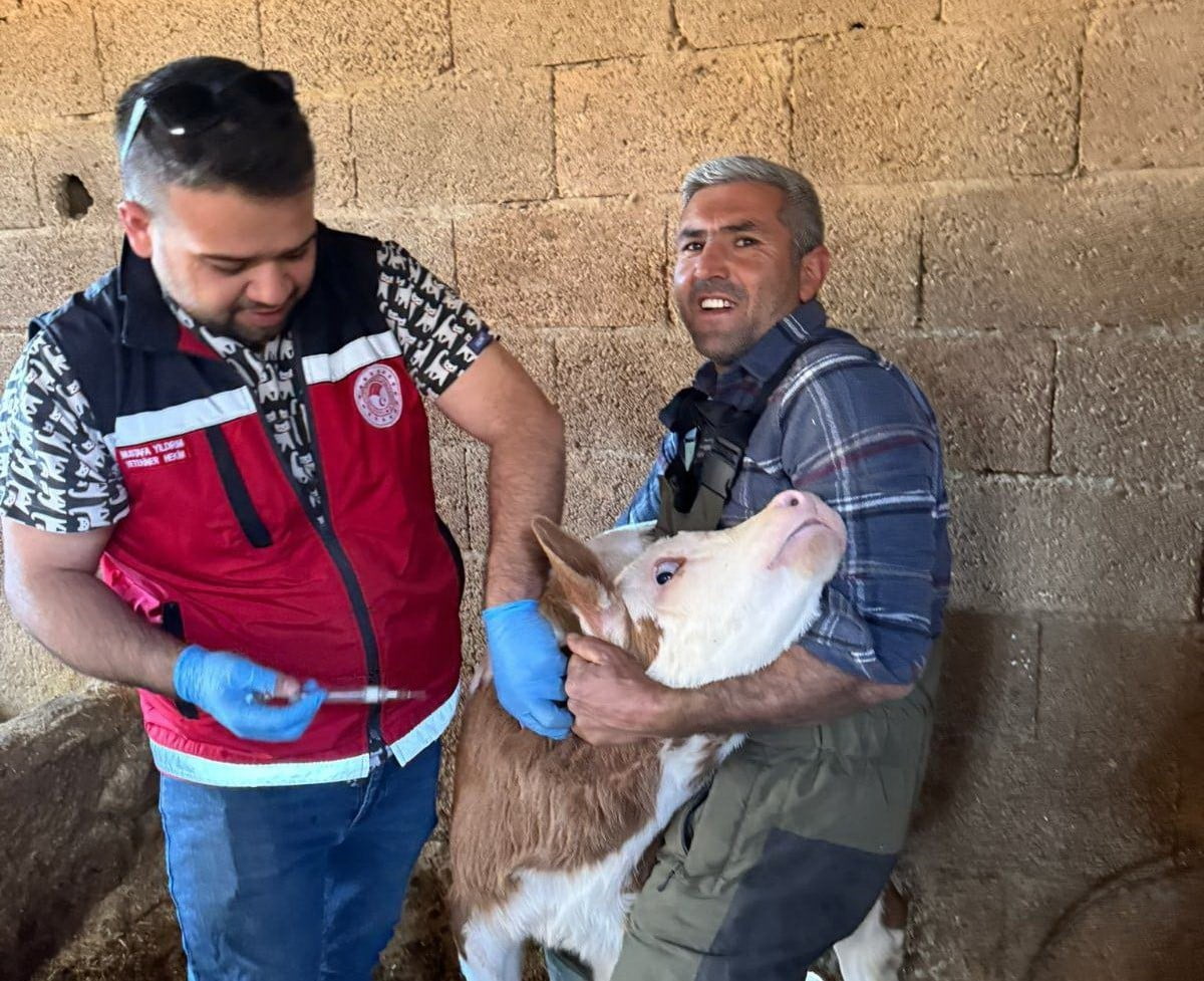 ADIYAMAN’DA, HAYVANLARDAN İNSANLARA BULAŞABİLEN ZOONOZ HASTALIKLARLA MÜCADELE KAPSAMINDA AŞILAMA...