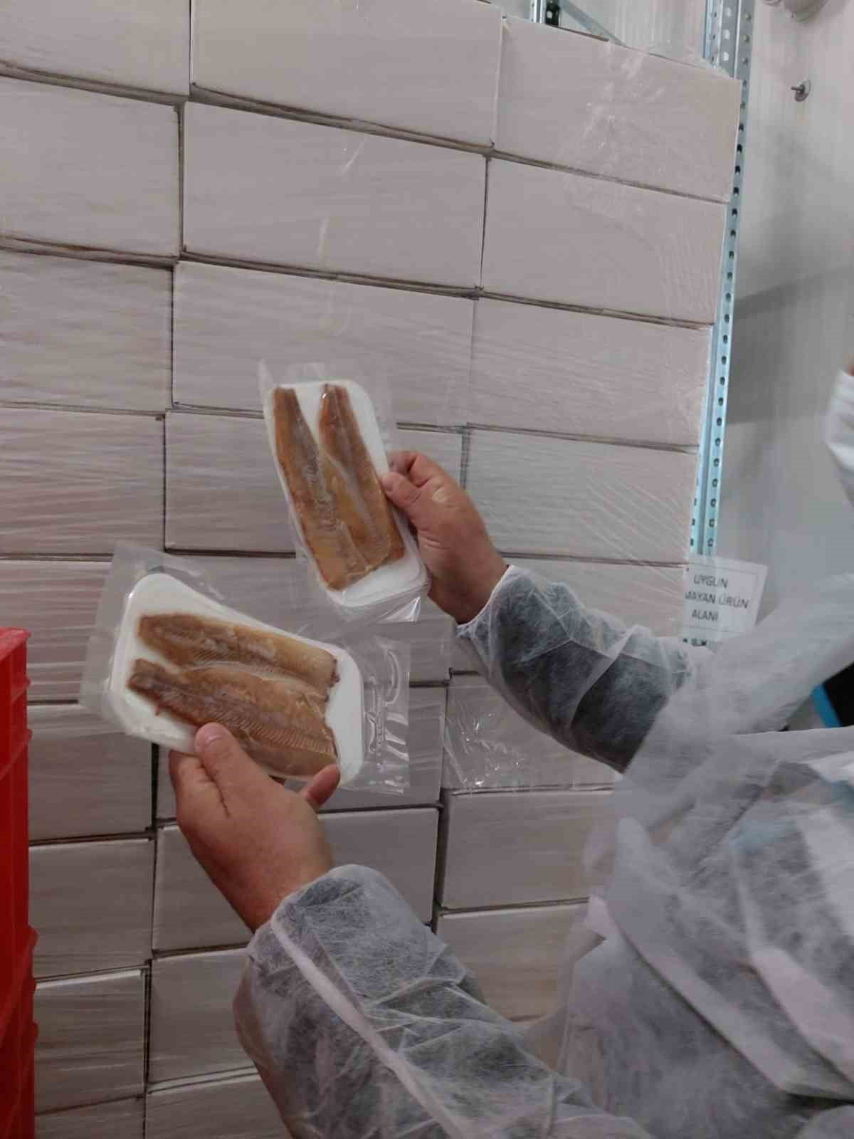 AFYONKARAHİSAR TARIM VE ORMAN MÜDÜRLÜĞÜ TARAFINDAN SU ÜRÜNLERİ ÜRETİMİ YAPILAN TESİSLERDE DENETİM...