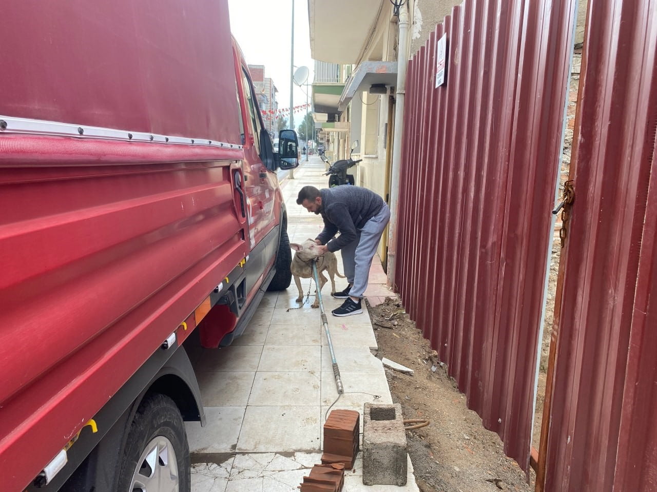 ALAŞEHİR İLÇESİNDE ÜZERİ TAMAMEN PLASTİKLE KAPALI İNŞAAT TEMEL ÇUKURUNA DÜŞEN KÖPEK, İTFAİYE...