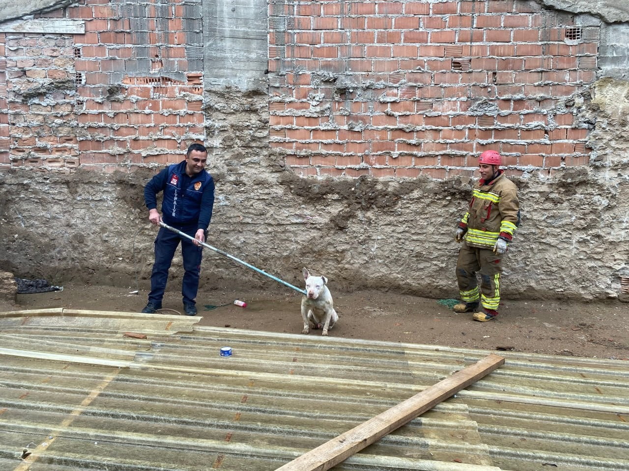 ALAŞEHİR İLÇESİNDE ÜZERİ TAMAMEN PLASTİKLE KAPALI İNŞAAT TEMEL ÇUKURUNA DÜŞEN KÖPEK, İTFAİYE...