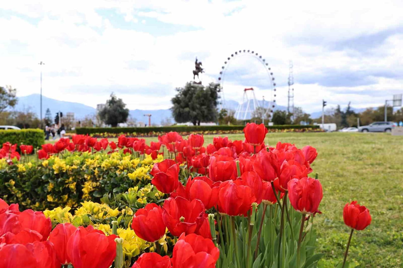 ANTALYA BÜYÜKŞEHİR BELEDİYESİ, KENDİ ÜRETİMİ OLAN LALE VE MEVSİMLİK ÇİÇEKLERLE KENTİN DÖRT BİR...