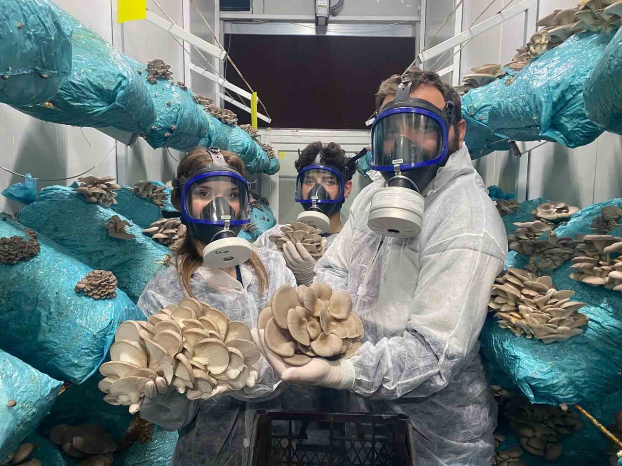 ANTALYA’NIN AKSU İLÇESİNDE KURULAN İSTİRİDYE MANTARI ÜRETİM TESİSİ, ANTALYA’NIN 365 GÜN ÜRETİM...