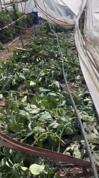 ANTALYA’NIN KUMLUCA İLÇESİNE BAĞLI SARIKAVAK MAHALLESİ’NDE GECE SAATLERİNDE MEYDANA GELEN HORTUM...