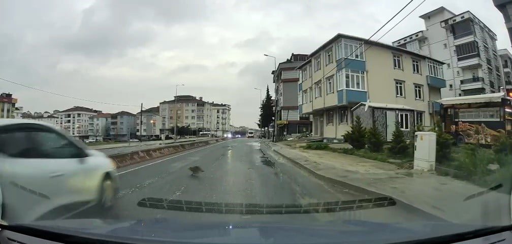 ARABANIN ALTINDA KALAN KEDİ YARA ALMADAN KURTULDU.