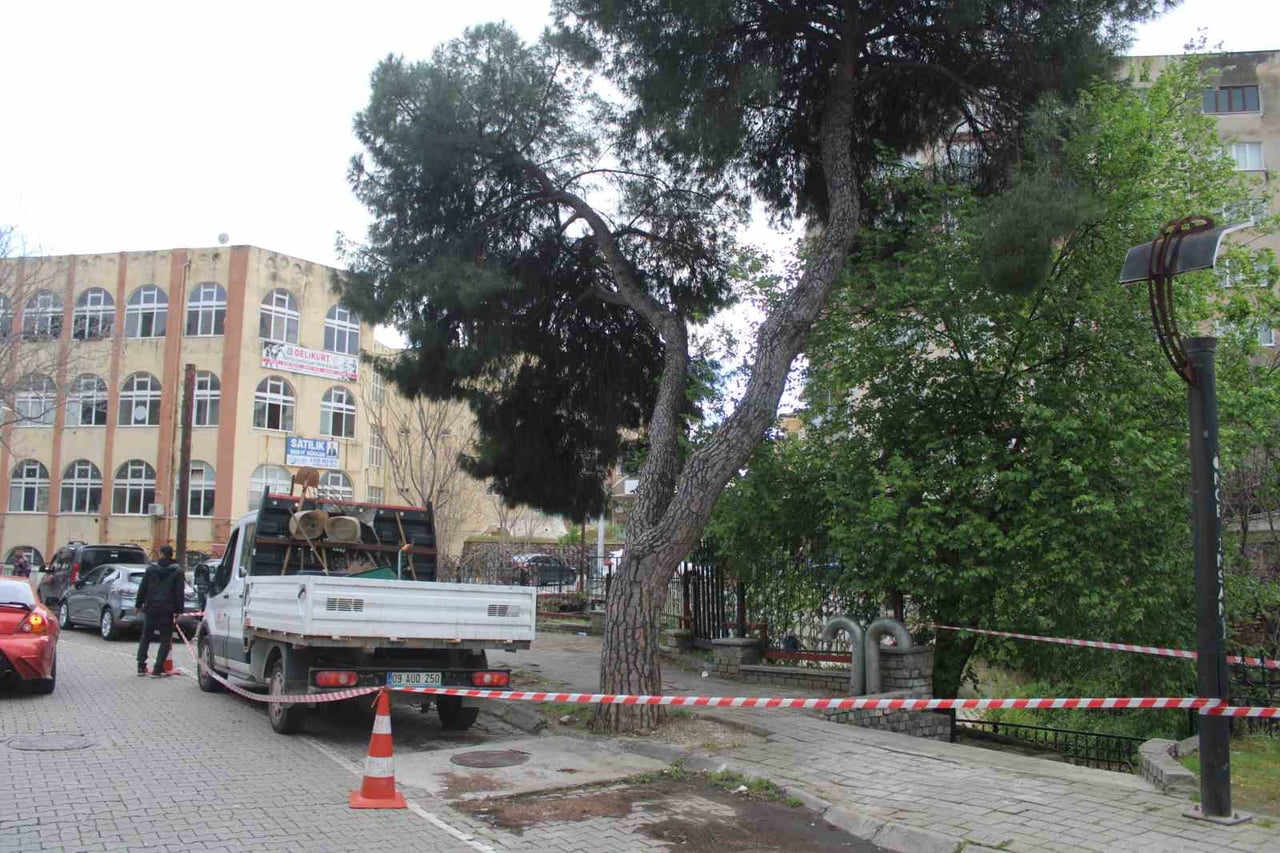 AYDIN'IN EFELER İLÇESİNDE ETKİLİ OLAN YAĞIŞLARIN ARDINDAN 2 ÇAM AĞACI YAN YATARKEN, EKİPLERİN...