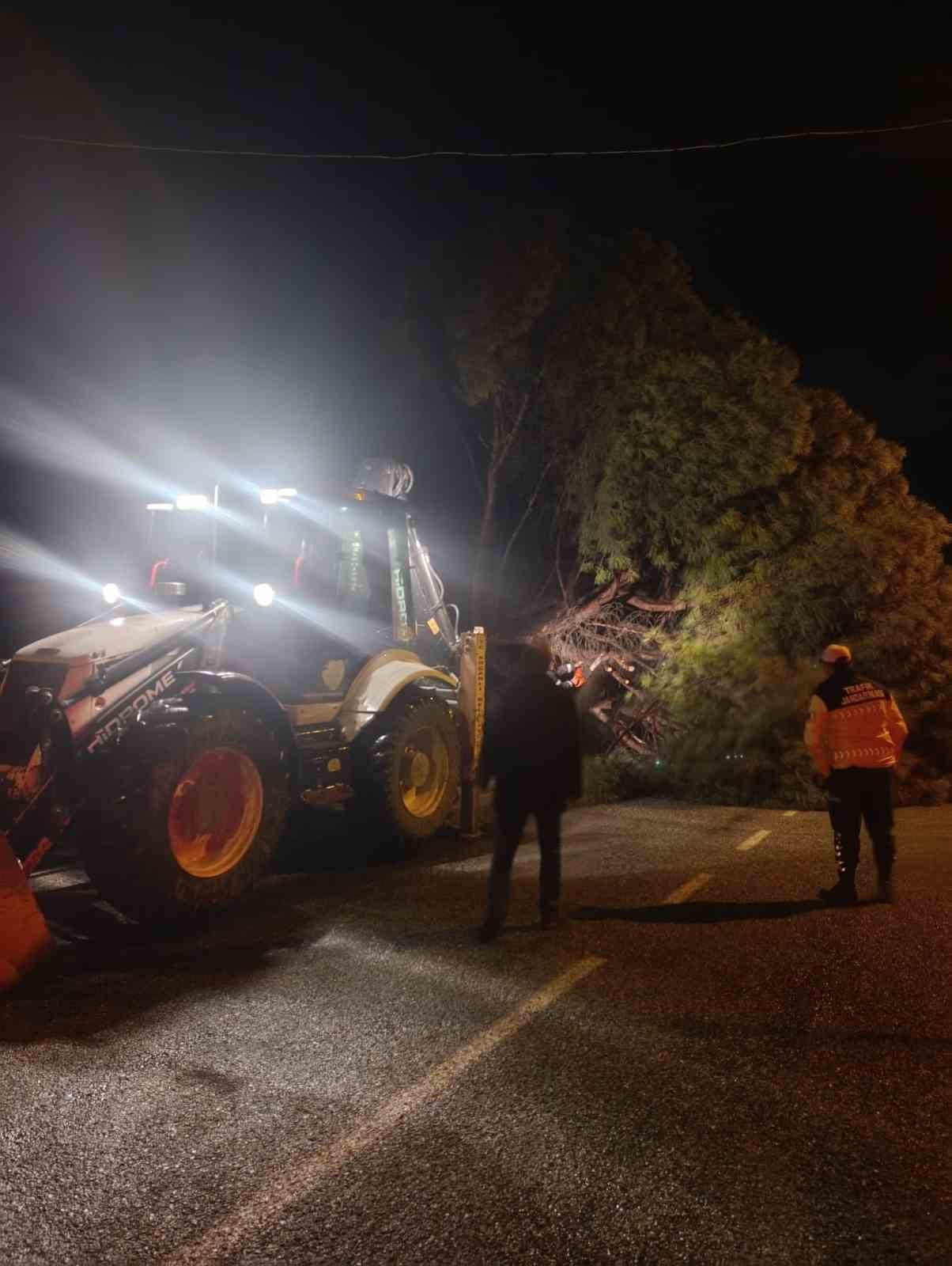 AYDIN'IN KOÇARLI İLÇESİNDE ETKİLİ OLAN YAĞIŞ SONRASI ÇAM AĞACI YOLA DEVRİLİRKEN, ŞANS ESERİ...