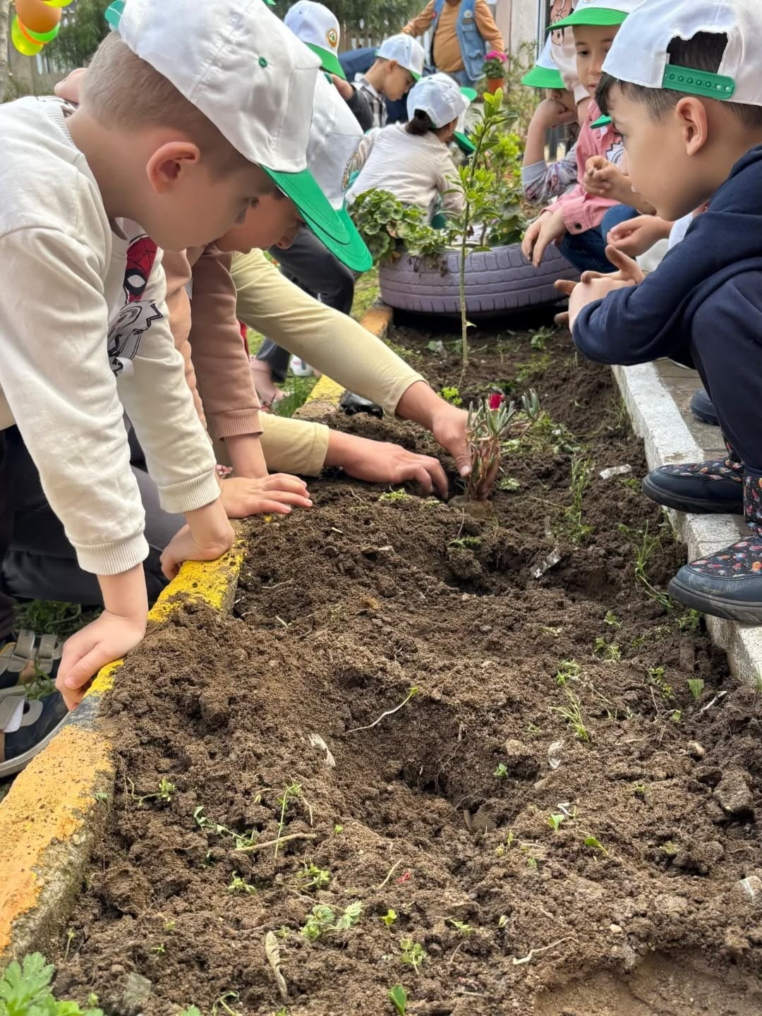 AYDIN'IN YENİPAZAR İLÇESİNDE DÜZENLENEN 'YEŞİL VATAN' ETKİNLİĞİNDE MİNİK ELLER TOPRAKLA...