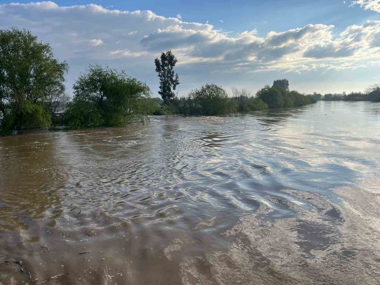 AYDIN’DA ETKİLİ OLAN SAĞANAK YAĞIŞLARIN ARDINDAN MENDERES NEHRİ KOÇARLI İLÇESİNDE TAŞARAK TARIM...