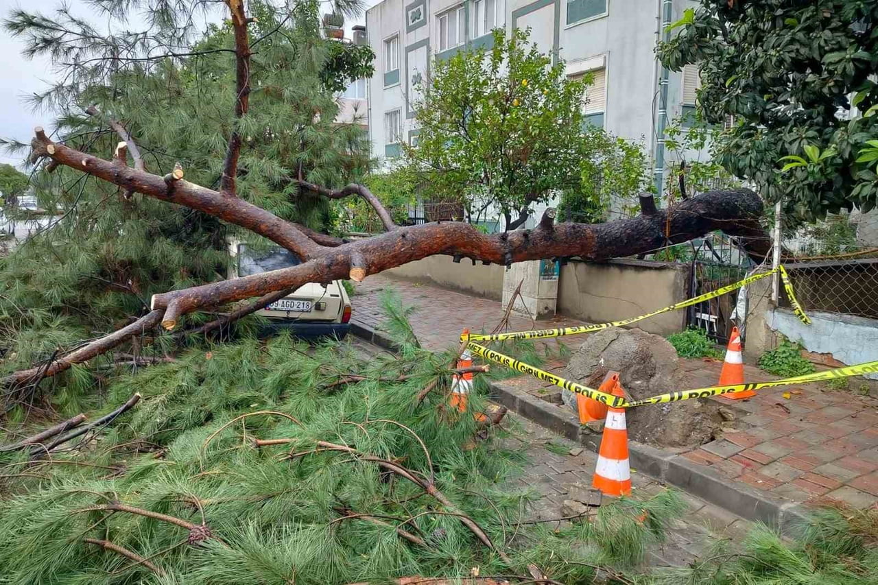 AYDIN’IN EFELER İLÇESİNDE ETKİLİ OLAN SAĞANAK YAĞIŞ VE FIRTINA NEDENİYLE BİR AĞAÇ DEVRİLEREK PARK...