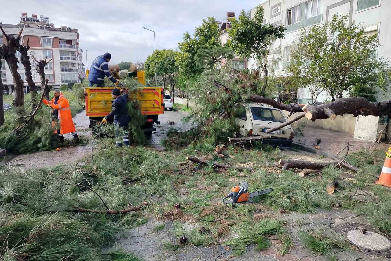 AYDIN’IN EFELER İLÇESİNDE ETKİLİ OLAN SAĞANAK YAĞIŞ VE FIRTINA NEDENİYLE BİR AĞAÇ DEVRİLEREK PARK...