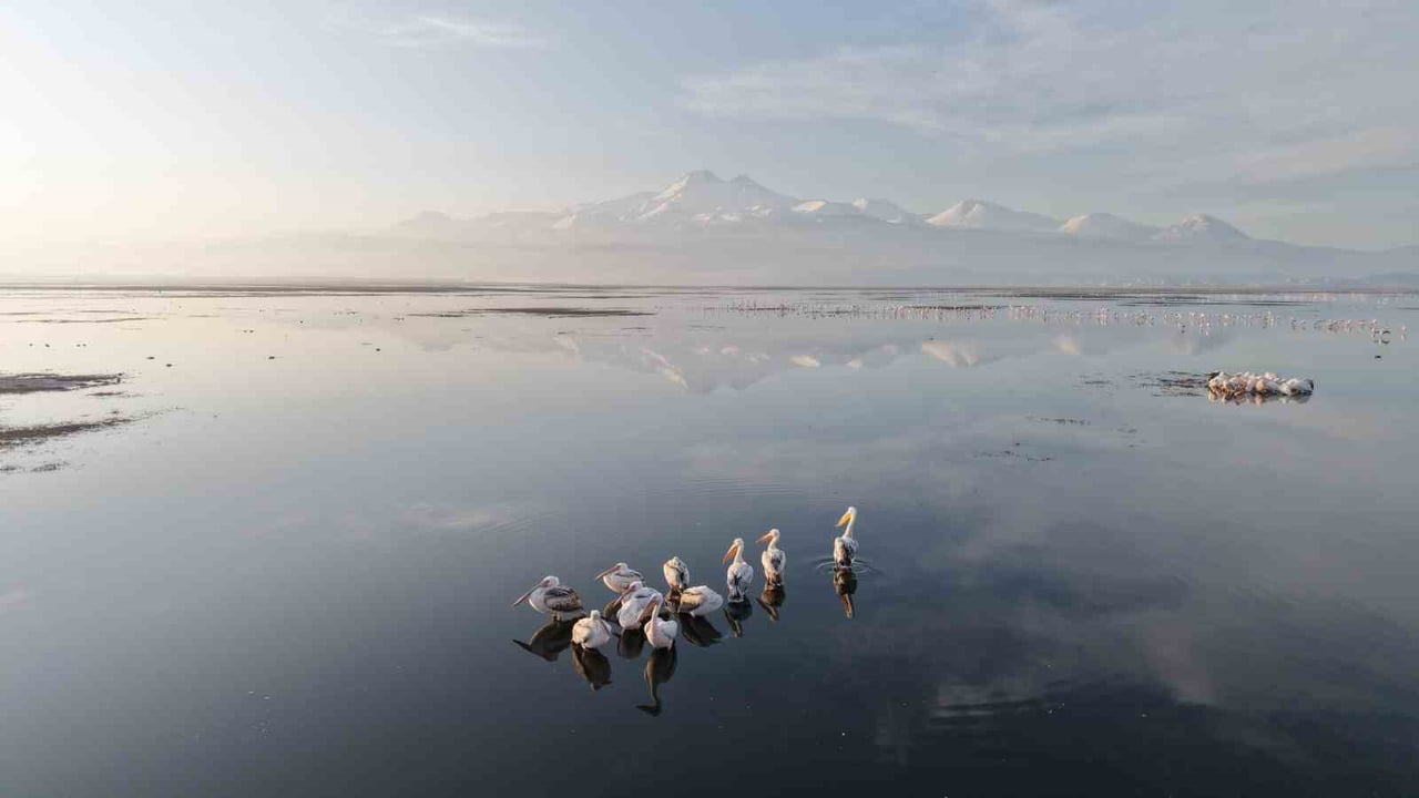 BAHARIN GELMESİYLE BİRLİKTE KAYSERİ'YE ADIM ATAN İLK PELİKAN GRUBU DRONLA GÖRÜNTÜLENDİ.