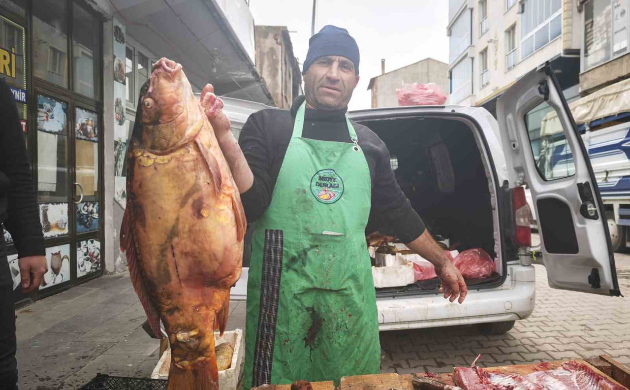 BİTLİS’İN AHLAT İLÇESİNDE SATIŞA SUNULAN KEBAN BARAJ GÖLÜ’NDEN GETİRİLEN DEV SAZAN BALIKLARI...