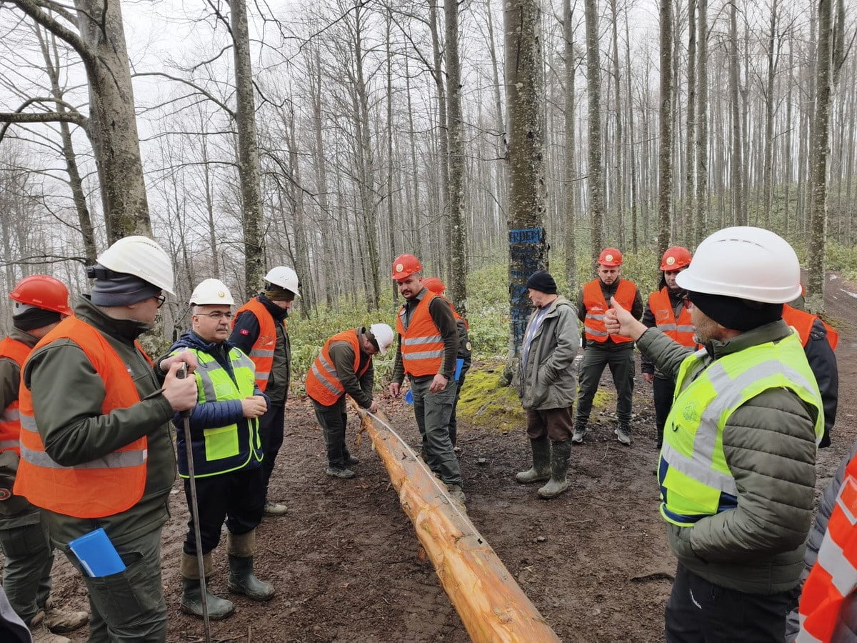 BOLU ORMAN BÖLGE MÜDÜRLÜĞÜ İŞLETME VE PAZARLAMA ŞUBE MÜDÜRLÜĞÜ TARAFINDAN, ORMAN İŞLETME ŞEFLERİ...