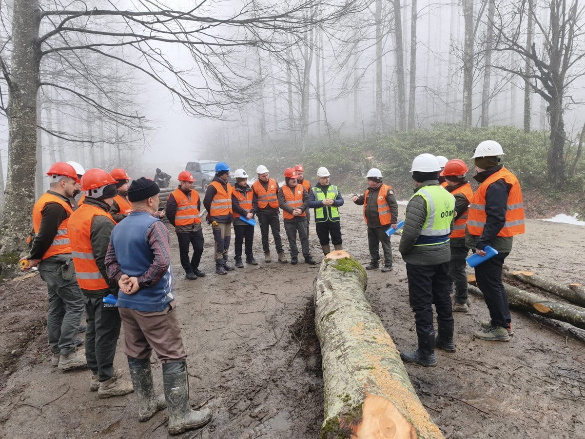BOLU ORMAN BÖLGE MÜDÜRLÜĞÜ İŞLETME VE PAZARLAMA ŞUBE MÜDÜRLÜĞÜ TARAFINDAN, ORMAN İŞLETME ŞEFLERİ...
