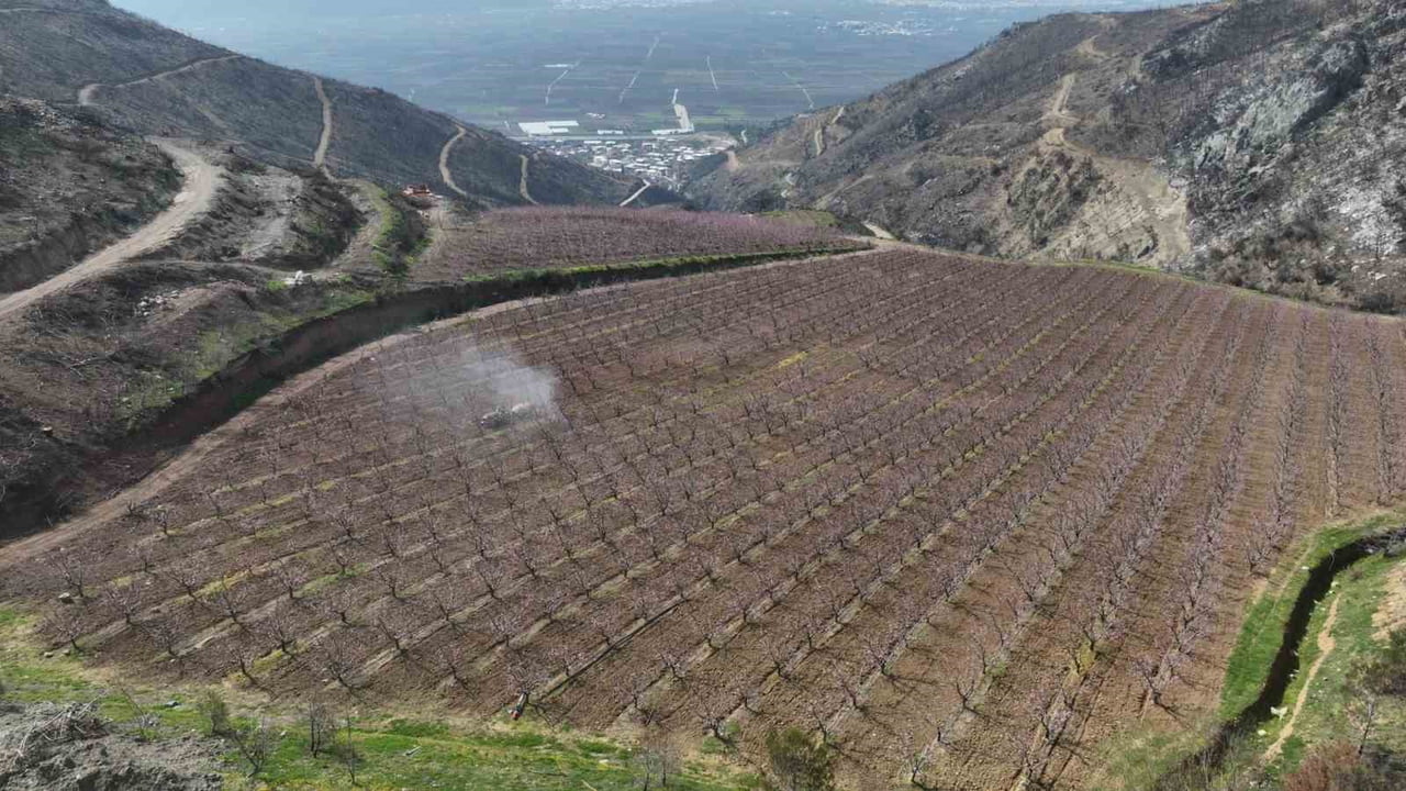 BURSA'NIN GÜRSÜ İLÇESİNDE GEÇEN YIL ÇIKAN YANGINDA YÜKSEK KESİMLERDE ALEVLERİN ARASINDA YEMYEŞİL...
