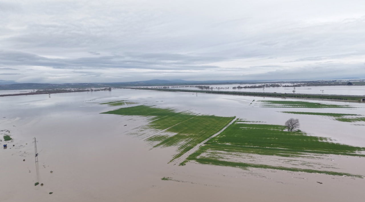 BURSA'NIN KARACABEY İLÇESİNDE, BAYIRALTI MEVKİİNDE BULUNAN VE OTOBAN GÜZERGAHINA KADAR UZANAN...