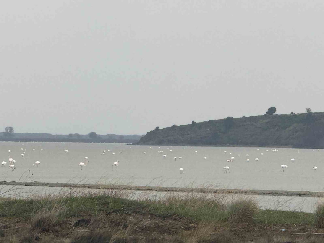 ÇANAKKALE’NİN ECEABAT İLÇESİNDE KAYMAKAM KEREM YENİGÜN, SUVLA BÖLGESİNİN DOĞAL ZENGİNLİKLERİNİN...