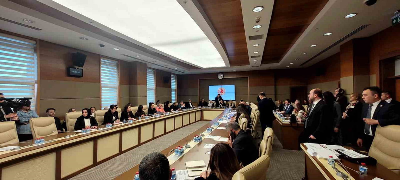 ÇOCUKLARIN SUÇA SÜRÜKLENMESİNE YOL AÇAN NEDENLERİN TÜM BOYUTLARIYLA İNCELENEREK KORUYUCU VE...