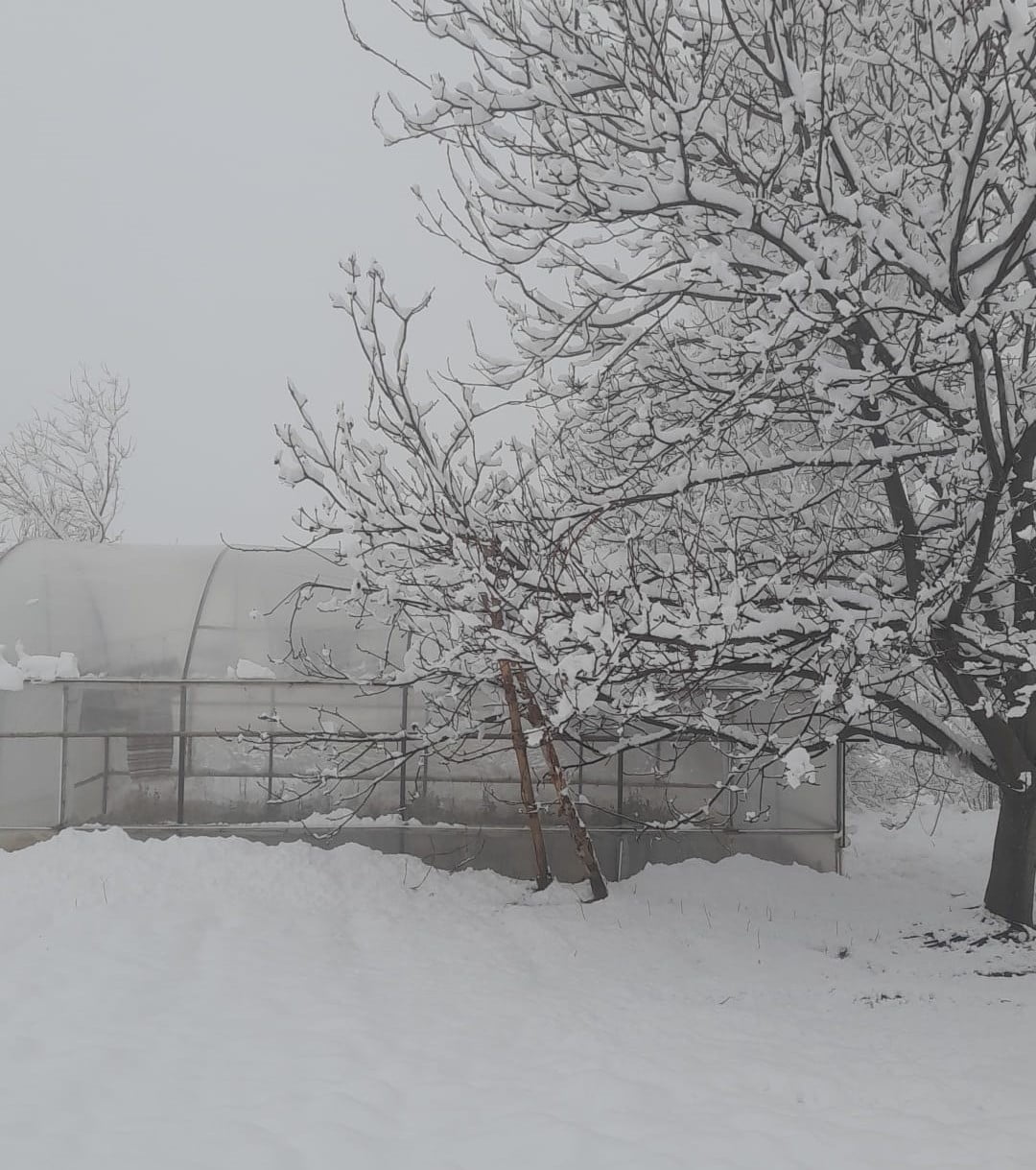 DENİZLİ’DE DÜN GECEDEN BU YANA YÜKSEK KESİMLİ İLÇELERDE GÖRÜŞEN ŞİDDETLİ KAR YAĞIŞININ ETKİLİ...