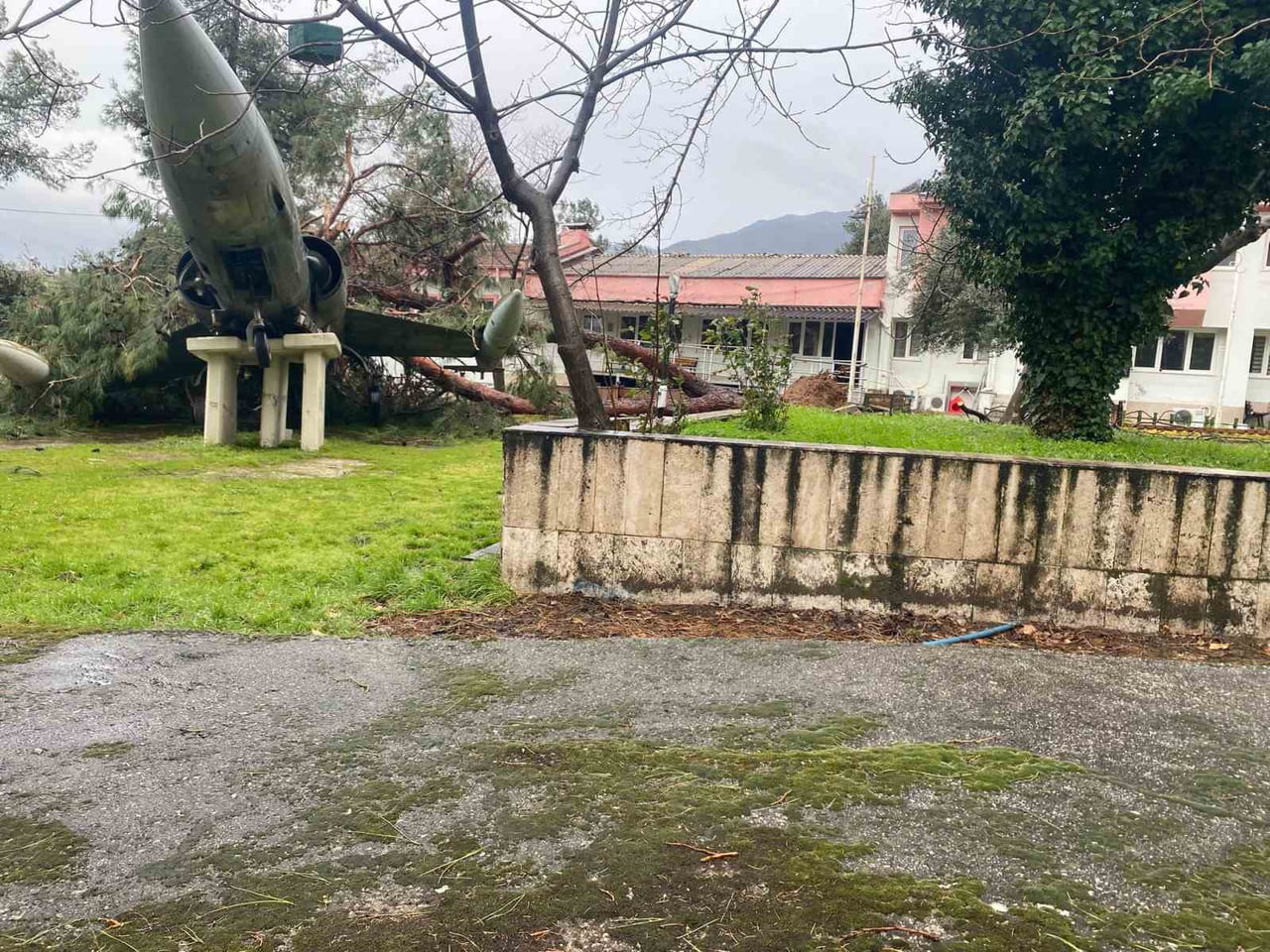 DENİZLİ’DE FIRTINANIN DEVİRDİĞİ ÇAM AĞACI, UÇAKLI OKULUN SİMGESİ UÇAĞIN ÜZERİNE DÜŞTÜ. KAİDESİNDEN...