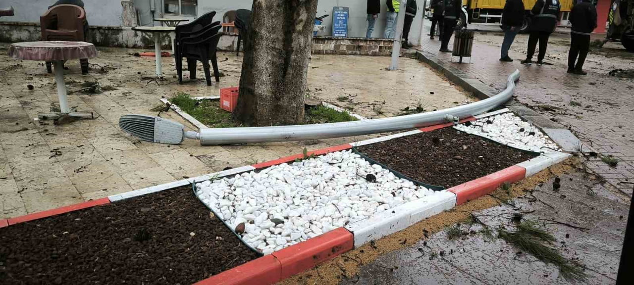 DENİZLİ’NİN TAVAS İLÇESİNDE ETKİLİ OLAN ŞİDDETLİ RÜZGAR AĞAÇLARI DEVİRDİ, ELEKTRİK HATLARINA ZARAR...