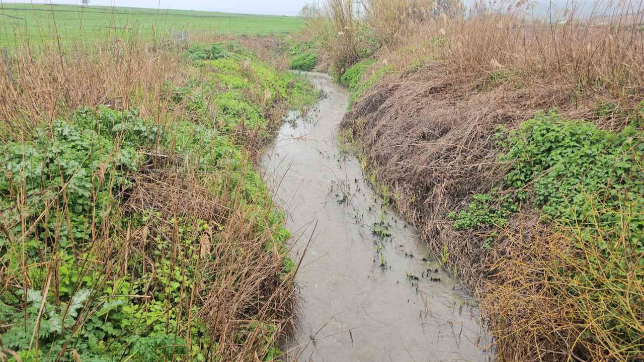 DERELERDE SU SEVİYESİ ARTTI, KIRSAL ALANLARDA TARLALAR SUYLA KAPLANDI.