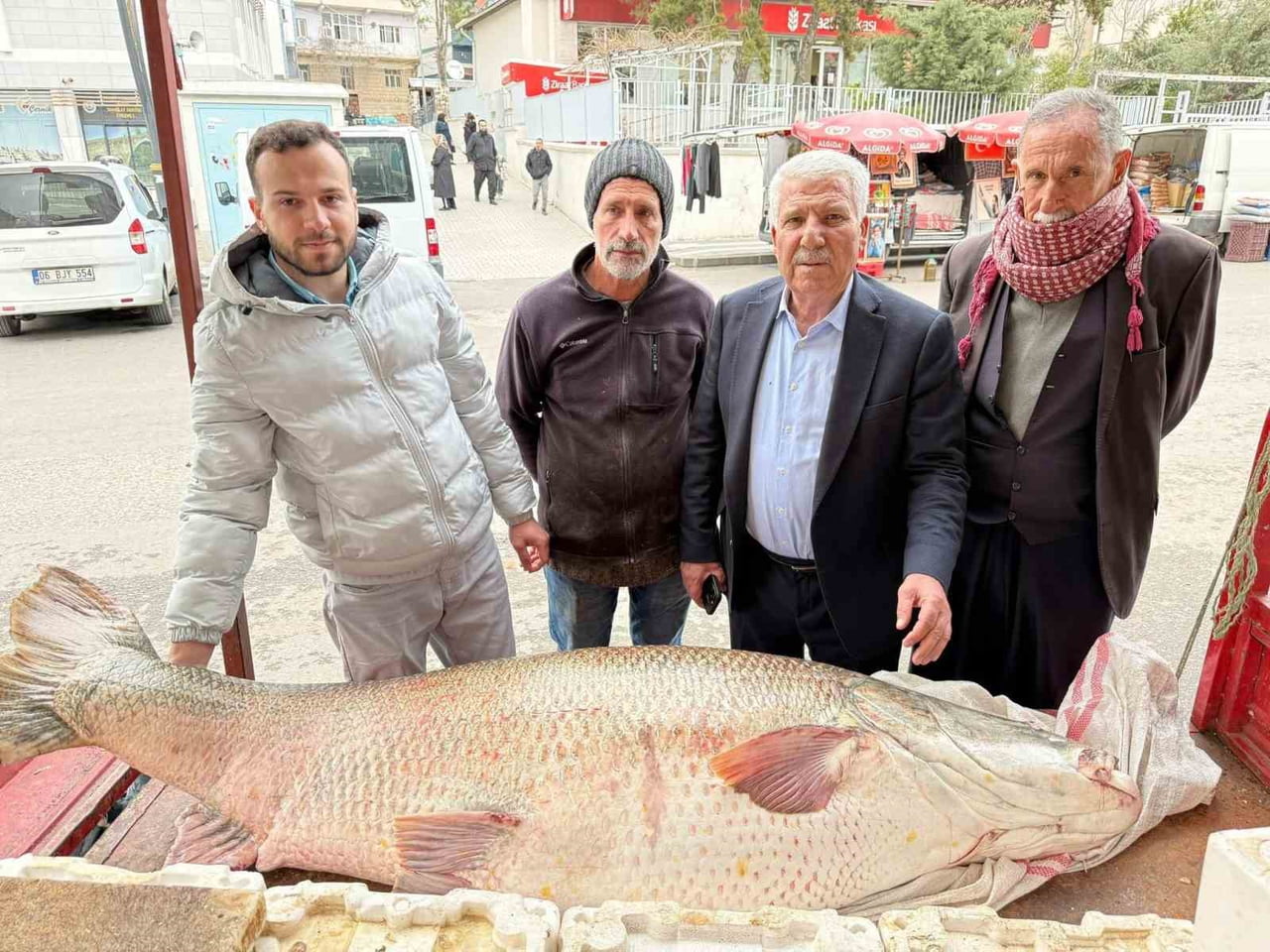 DİYARBAKIR'IN ÇERMİK İLÇESİNDE BALIKÇILAR TARAFINDAN YAKALANAN 120 KİLOLUK DEV TURNA BALIĞI...