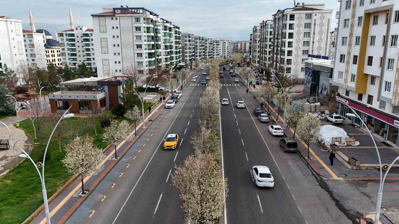 DİYARBAKIR BÜYÜKŞEHİR BELEDİYESİNİN PEYZAJ DÜZENLEME ÇALIŞMALARINDA YER VERDİĞİ, HER MEVSİM FARKLI...