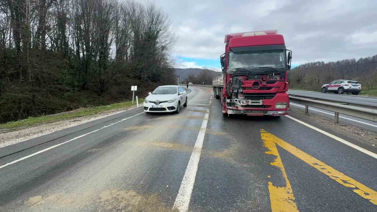 DÜZCE-AKÇAKOCA D-655 KARA YOLUNDA SAĞANAK YAĞIŞIN ARDINDAN KAYGANLAŞAN ZEMİNDE KONTROLDEN ÇIKARAK...