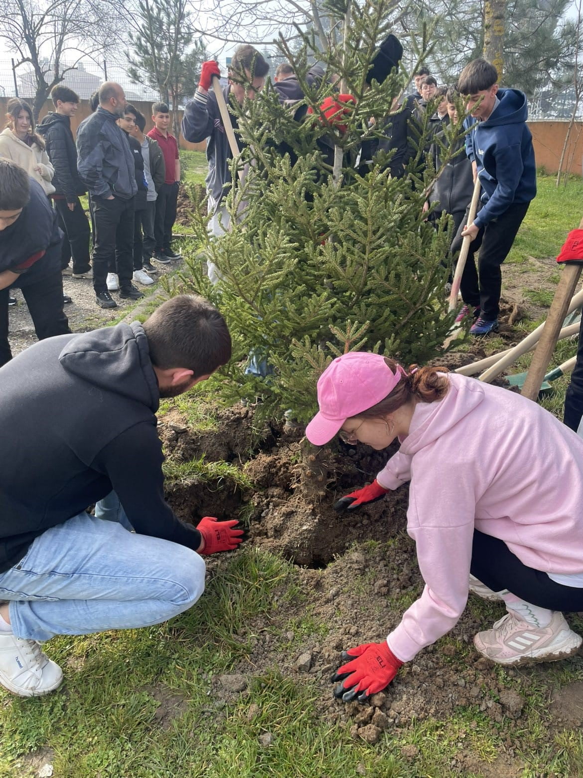 DÜZCE ÜNİVERSİTESİ SÜRDÜRÜLEBİLİRLİK OFİSİ, SÜRDÜRÜLEBİLİRLİK VE YEŞİL KAMPÜS TOPLULUĞU (DÜSÜYET)...