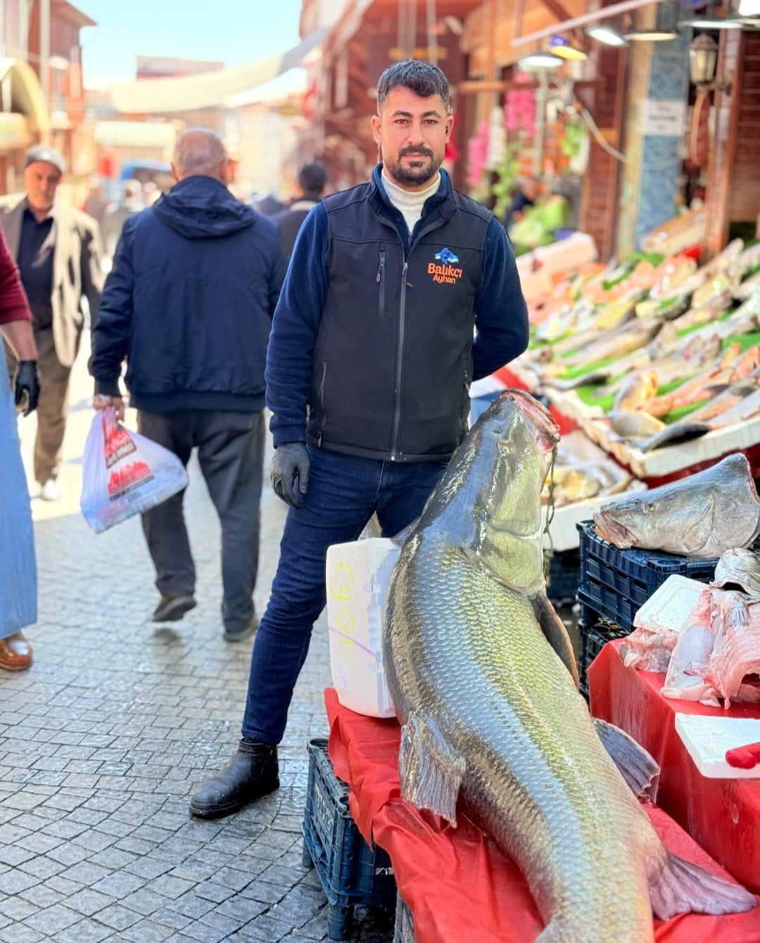 ELAZIĞ'DA  KURBAN PAZARLIĞINI ARATMAYAN GÖRÜNTÜ:VATANDAŞLAR DEV BALIK İÇİN YARIŞTI
