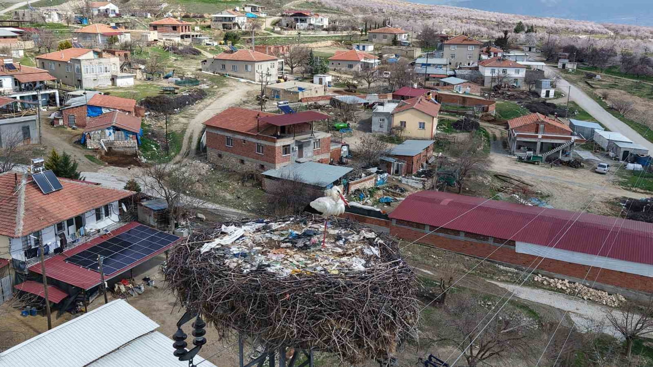 ELAZIĞ'IN BASKİL İLÇESİNE LEYLEKLER BU YIL DA GELDİ. KÖY SAKİNLERİ, HER YIL DÜZENLİ OLARAK GELEN...