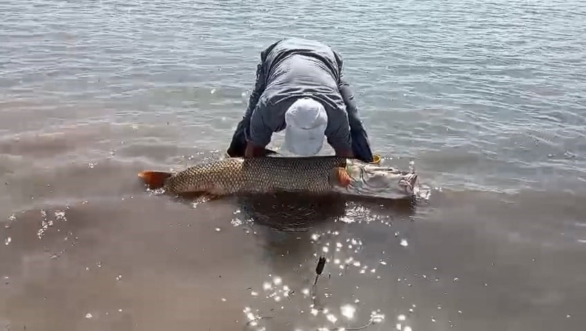 ELAZIĞ’DA AMATÖR BALIKÇILAR TARAFINDAN BALIK YASAKLARINA SAATLER KALA 65 KİLO AĞIRLIĞINDA DEV...