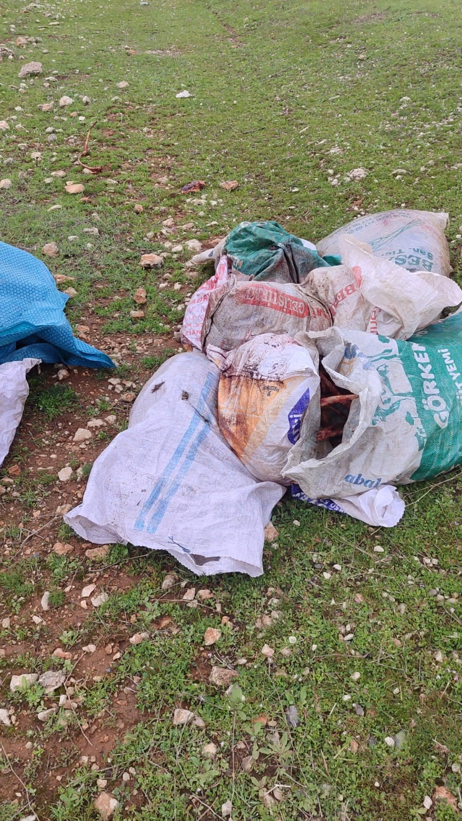 EYYÜBİYE İLÇESİNDE ÇUVAL İÇERİSİNDE KESİLMİŞ AT BAŞI VE PARÇALARININ BULUNMASI ÜZERİNE JANDARMA...