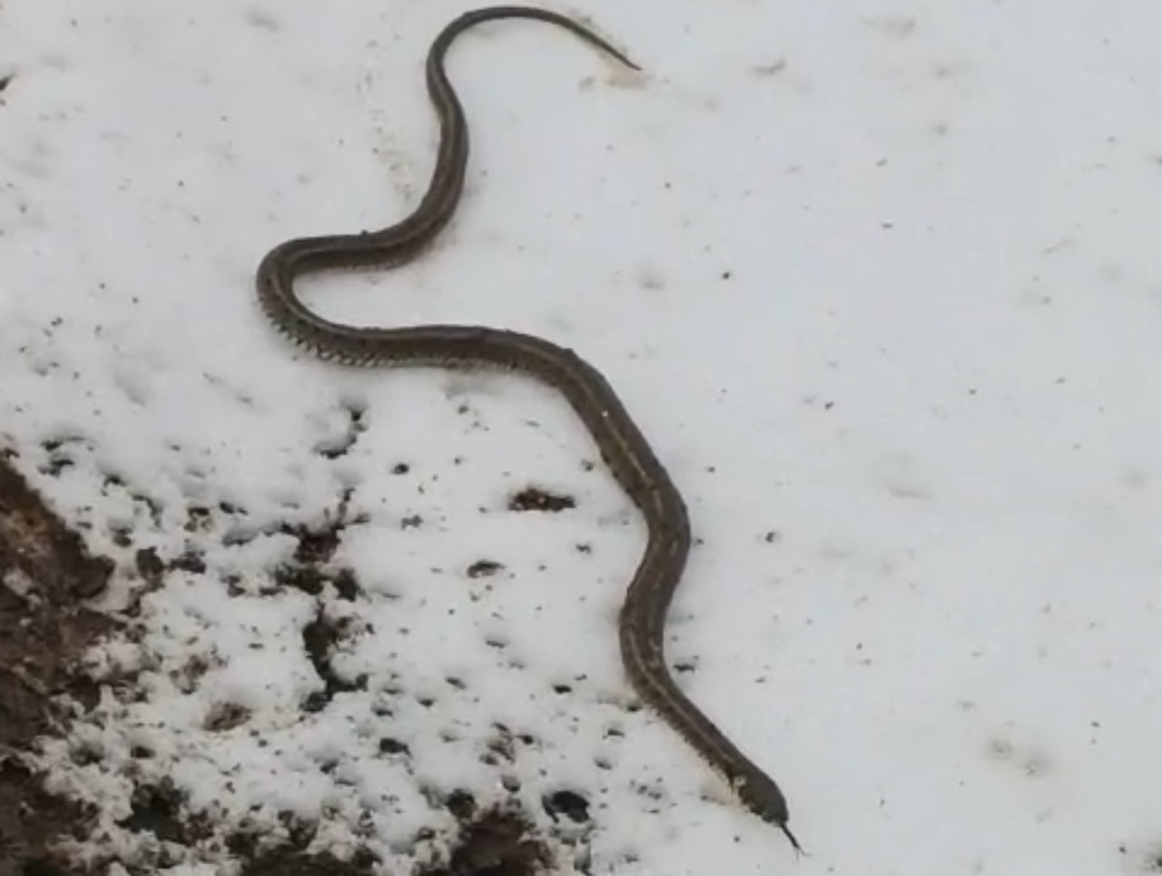 HAKKARİ’NİN YÜKSEKOVA İLÇESİNDE ARIZA YAPAN CAMİ SUYUNU ONARMAK İÇİN ÇALIŞMA YÜRÜTEN KÖYLÜLER...