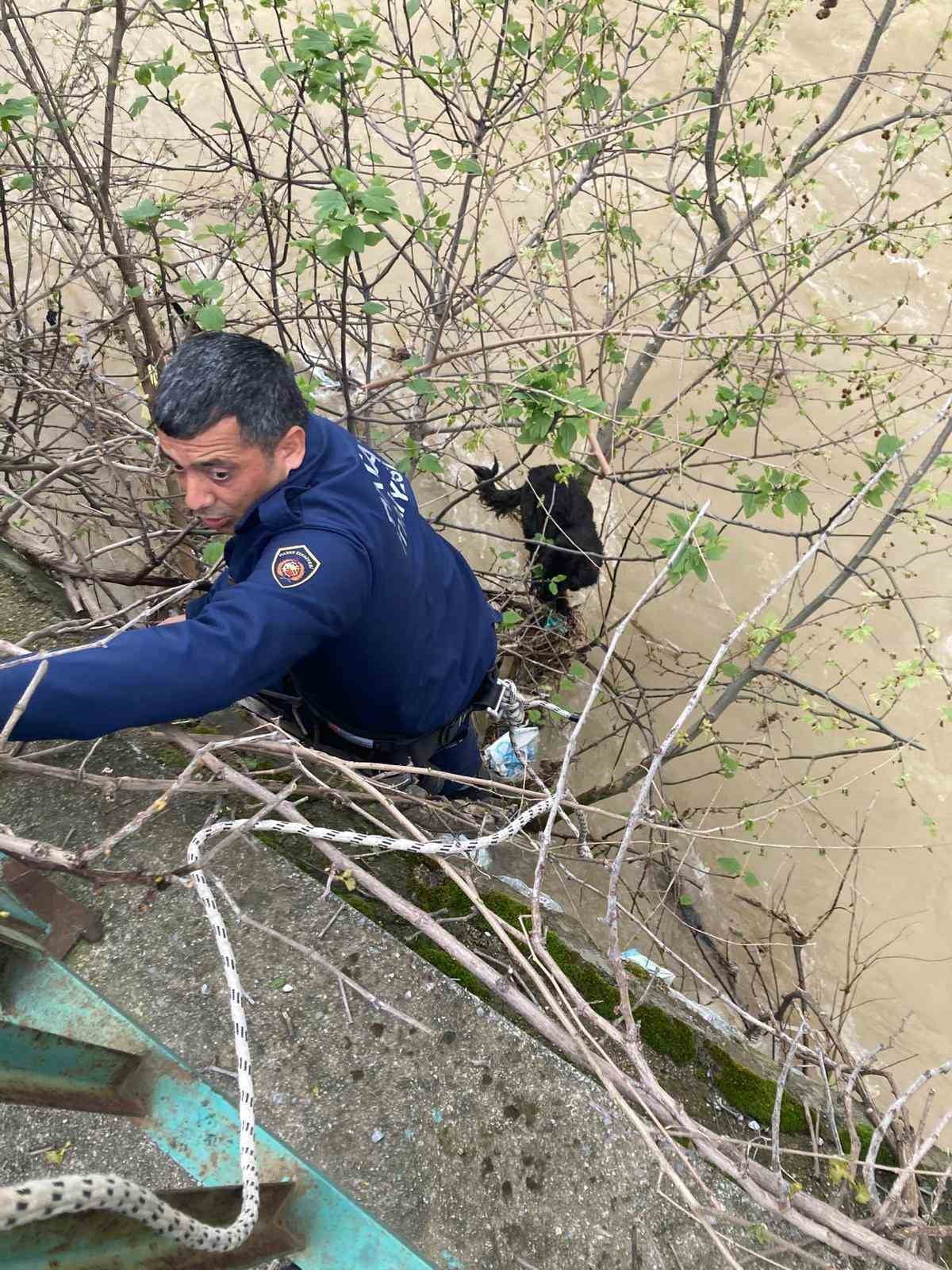 HATAY’DA DEREYE DÜŞEREK MAHSUR KALAN KÖPEK, İTFAİYE EKİPLERİNİN ZORLU OPERASYONUYLA...