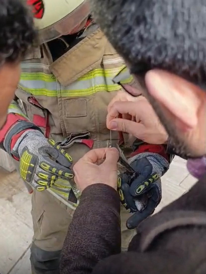 HATAY’IN İSKENDERUN İLÇESİ SAVAŞ MAHALLESİ’NDE DUVARDAKİ İPE DOLANAN BİR KUŞ MAHSUR KALDI. OLAYI...
