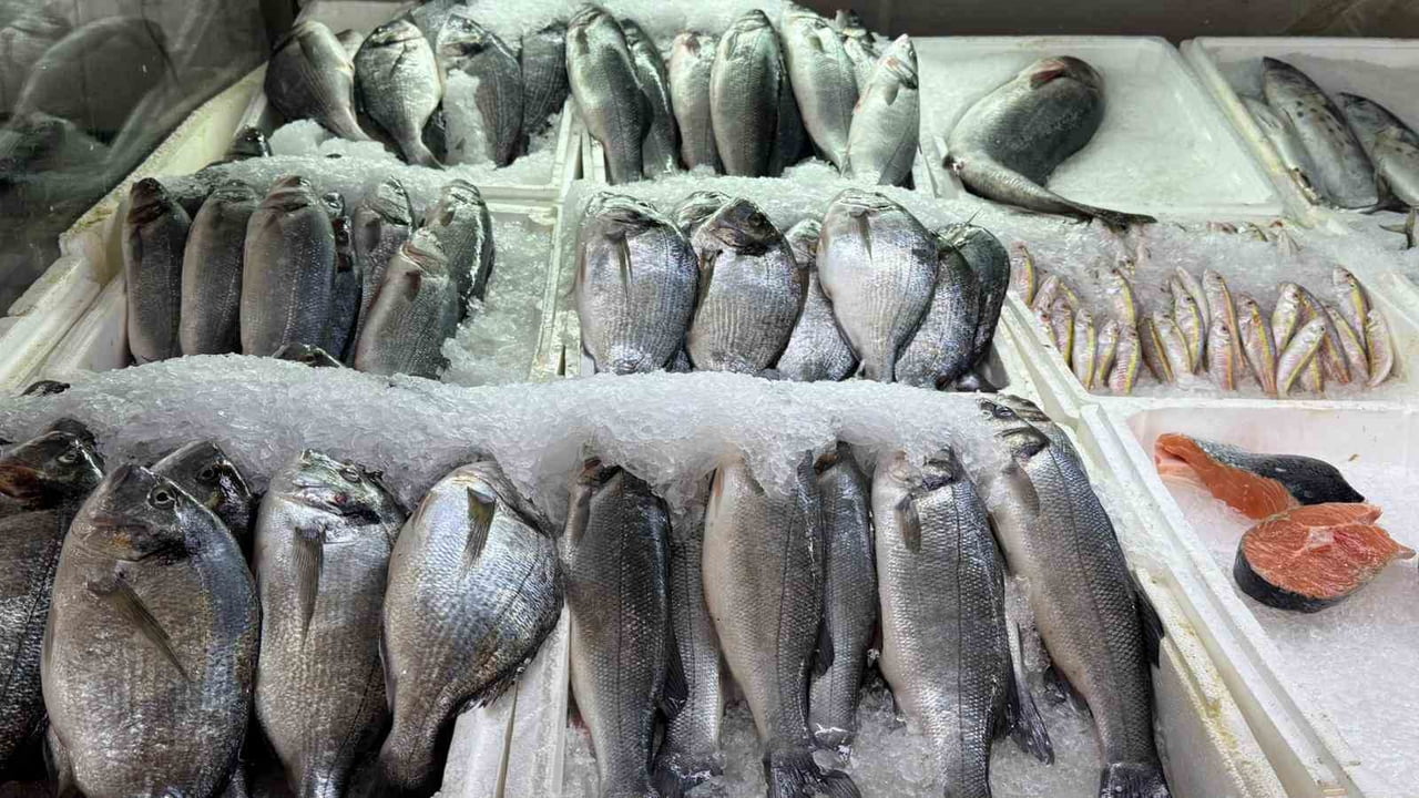 KAHRAMANMARAŞ’TA İÇ SULARDA BALIK POPÜLASYONUNUN KORUNMASI VE SÜRDÜRÜLEBİLİR AVCILIĞIN SAĞLANMASI...