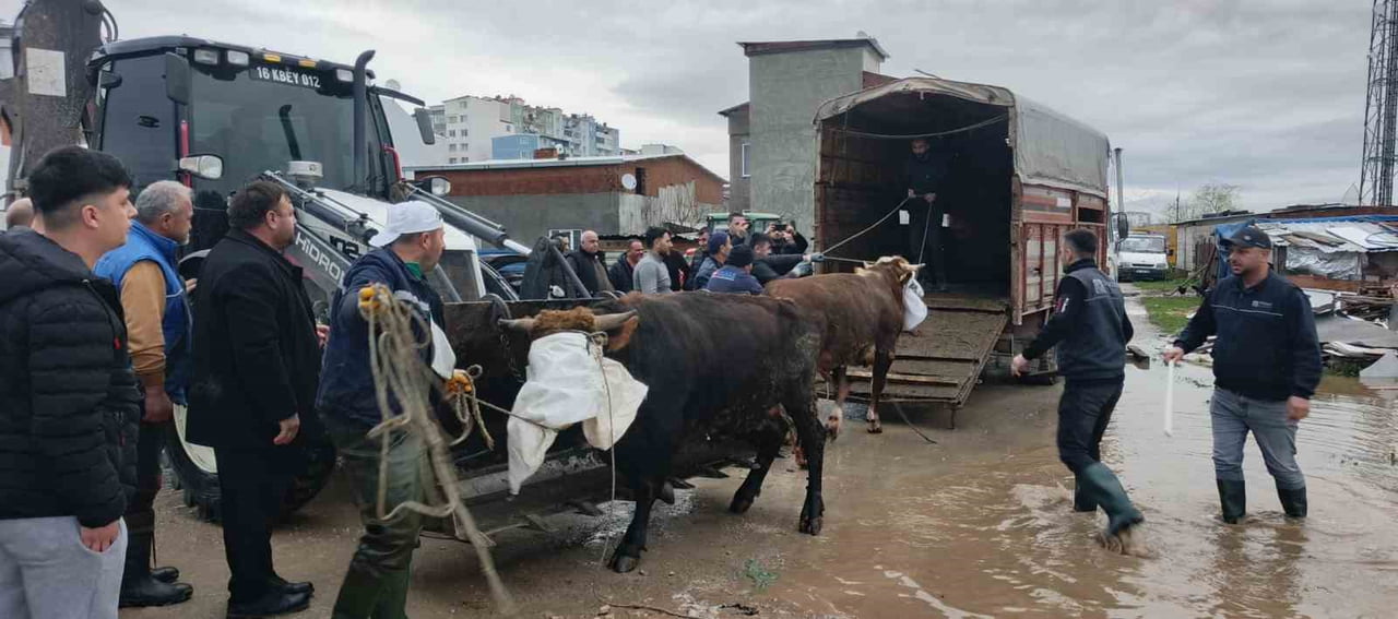 KARACABEY’DE GÜNLERDİR ETKİLİ OLAN YOĞUN YAĞIŞIN ARDINDAN OLUŞAN SU BASKINI VE TAŞKIN RİSKİNE...
