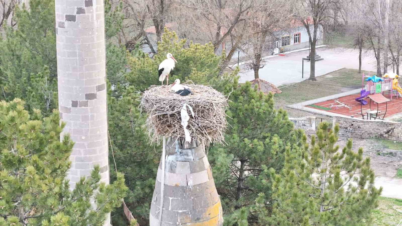 KAYSERİ'NİN TOMARZA İLÇESİNE BAĞLI ŞIHBARAK MAHALLESİ’NDE HER YIL BAHARIN GELİŞİNİ MÜJDELEYEN...