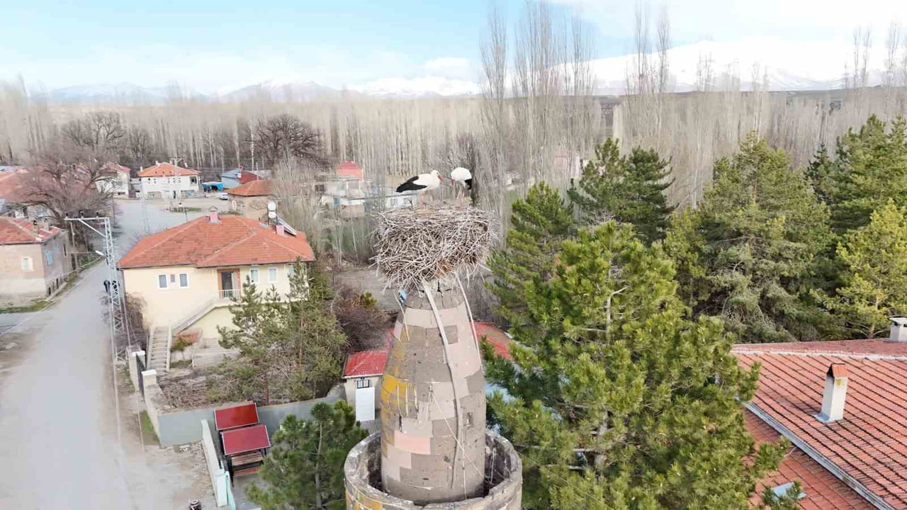 KAYSERİ'NİN TOMARZA İLÇESİNE BAĞLI ŞIHBARAK MAHALLESİ’NDE HER YIL BAHARIN GELİŞİNİ MÜJDELEYEN...