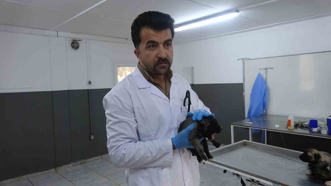 KİLİS BELEDİYESİ VETERİNER İŞLERİ MÜDÜRÜ VETERİNER HEKİM KADİR İLKER AVCI AÇIKLAMA...