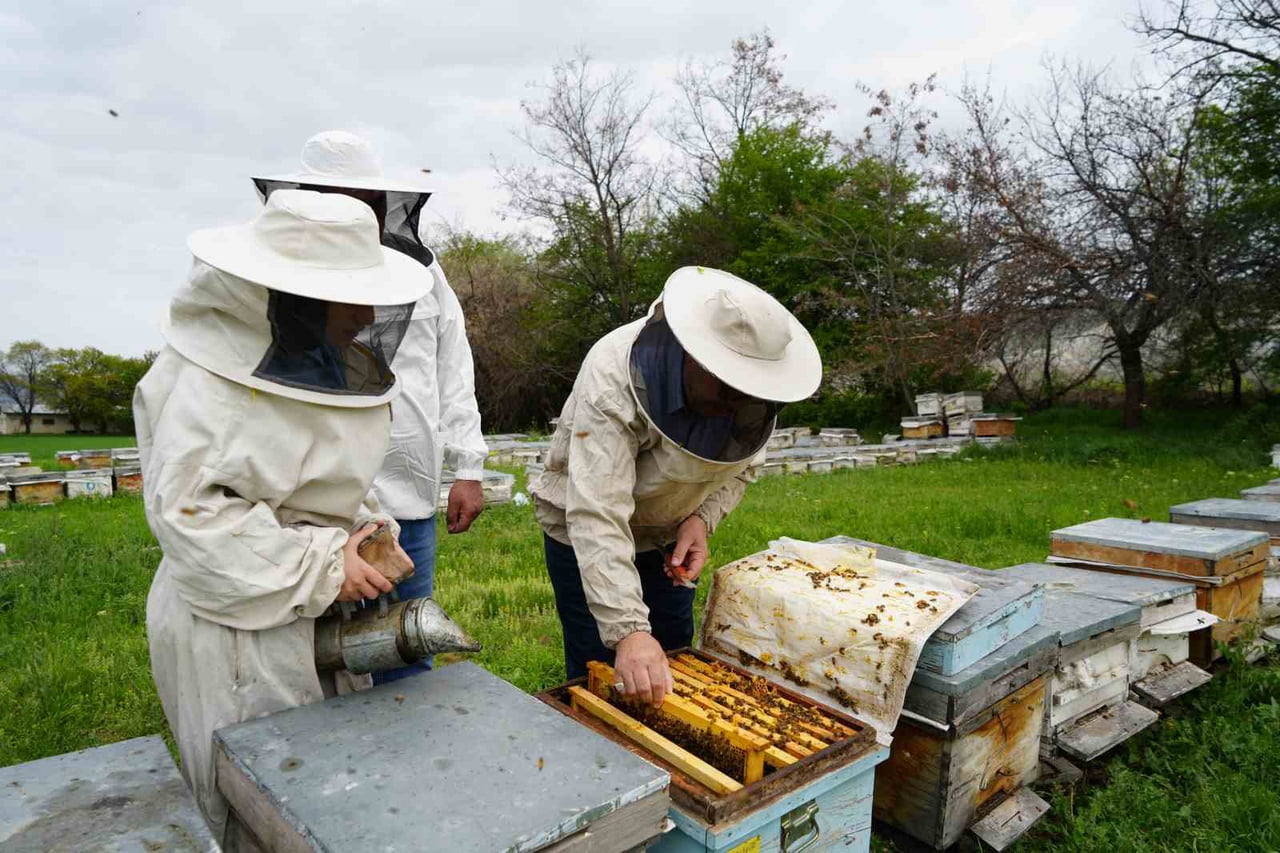 KIŞ UYKUSUNDAN UYANAN ARILAR ERZİNCAN’DA YENİ SEZONA HAZIRLANIYOR