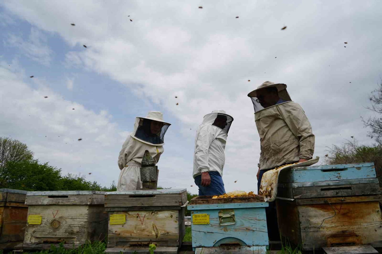 KIŞ UYKUSUNDAN UYANAN ARILAR ERZİNCAN’DA YENİ SEZONA HAZIRLANIYOR