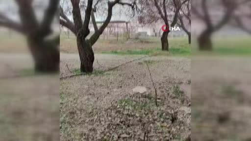 Malatya'da dolu yağışı etkili oldu