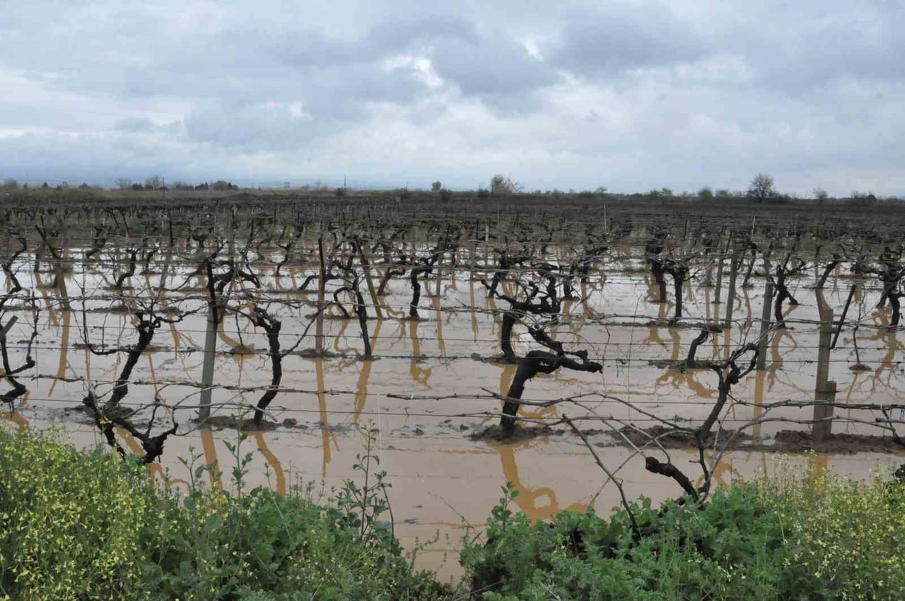 MANİSA'NIN SALİHLİ İLÇESİNDE 2 GÜNDÜR ETKİLİ OLAN KUVVETLİ YAĞIŞLAR SONUCU ÇAY VE DERELER TAŞTI...