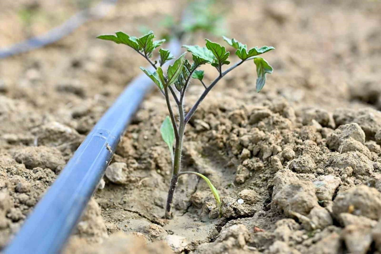 MANİSA BÜYÜKŞEHİR BELEDİYESİ, KIRSAL KALKINMA HAMLESİ KAPSAMINDA GÖRDES’İN ÇİĞİLLER...